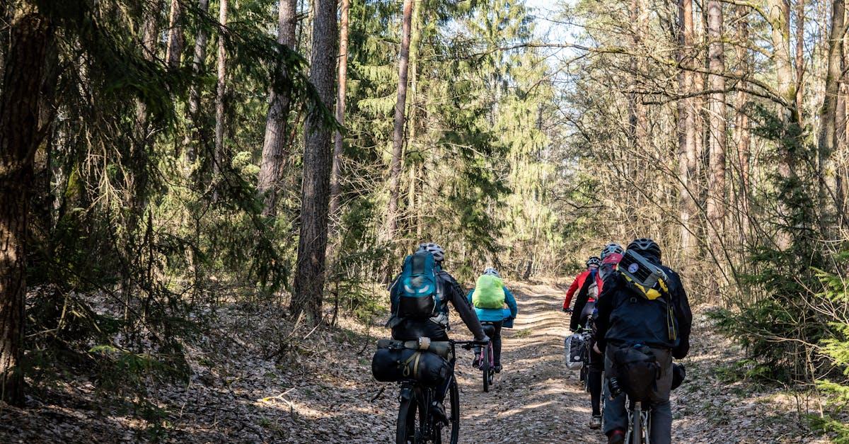 Gdzie na rodzinny rajd z przyczepką? 12 sprawdzonych tras pełnych widoków i atrakcji