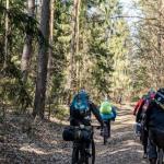 Gdzie na rodzinny rajd z przyczepką? 12 sprawdzonych tras pełnych widoków i atrakcji
