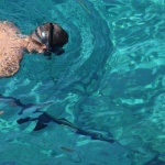 Snorkeling z plaży w Europie: najpiękniejsze miejsca tuż przy brzegu na rodzinny wypad
